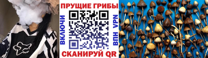 купить наркотики сайты Калининец Галлюциногенные грибы мухоморы